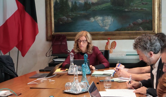 Luisa Trione (CA), Presidente della Commissione