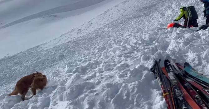 Valanga alla Punta Leysser con rischio “forte”: muore scialpinista tedesco di 54 anni