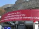 Diabete e prevenzione, Novo Nordisk a Milano per l'Easd: 'La salute duratura inizia ora' Diabete e prevenzione, Novo Nordisk a Milano per l'Easd: 'La salute duratura inizia ora'