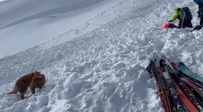 Valanga alla Punta Leysser con rischio “forte”: muore scialpinista tedesco di 54 anni