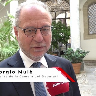 Mulè, "Vulnerabili modello virtuoso di collaborazione per sostenere le persone più fragili" Mulè, "Vulnerabili modello virtuoso di collaborazione per sostenere le persone più fragili"