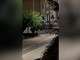 Assaltano un'armeria nel Cagliaritano, in un video le urla e gli spari nella notte Assaltano un'armeria nel Cagliaritano, in un video le urla e gli spari nella notte
