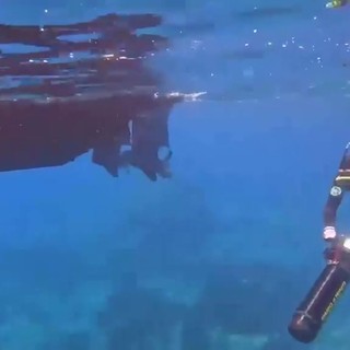 Ponza, 40 kg di hashish in una grotta a Ponza: l'intervento dei sommozzatori della Finanza – Video Ponza, 40 kg di hashish in una grotta a Ponza: l'intervento dei sommozzatori della Finanza – Video