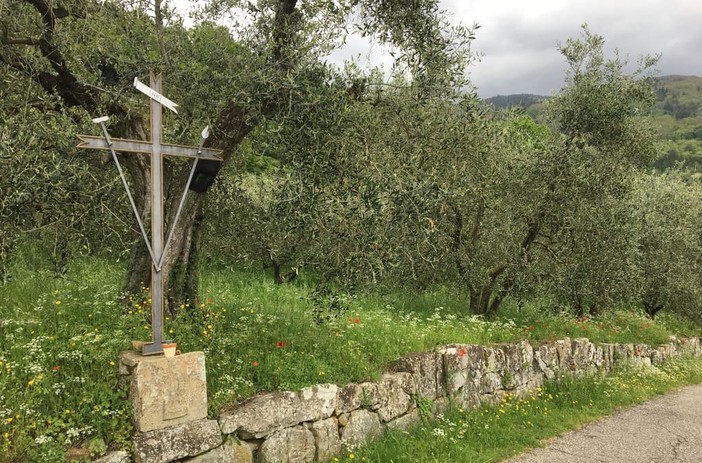 VAGELO DELLA DOMENICA: Lazzaro siamo noi. Risorgiamo perché amati