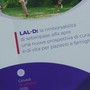 Malattie rare, Aifa approva la rimborsabilità della prima terapia per il deficit di lipasi acida lisosomiale