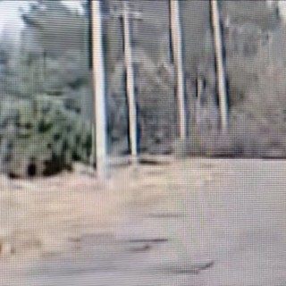 Appicca il fuoco a un deposito nel Leccese, il video del piromane in azione Appicca il fuoco a un deposito nel Leccese, il video del piromane in azione
