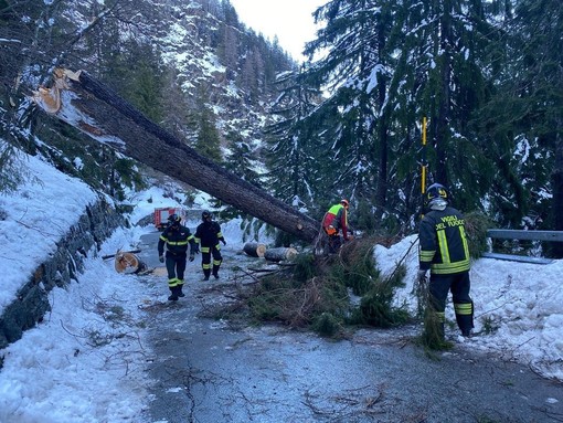 Previsioni meteorologiche allarmanti: la Protezione Civile chiama alla prudenza Previsioni meteorologiche allarmanti: la Protezione Civile chiama alla prudenza