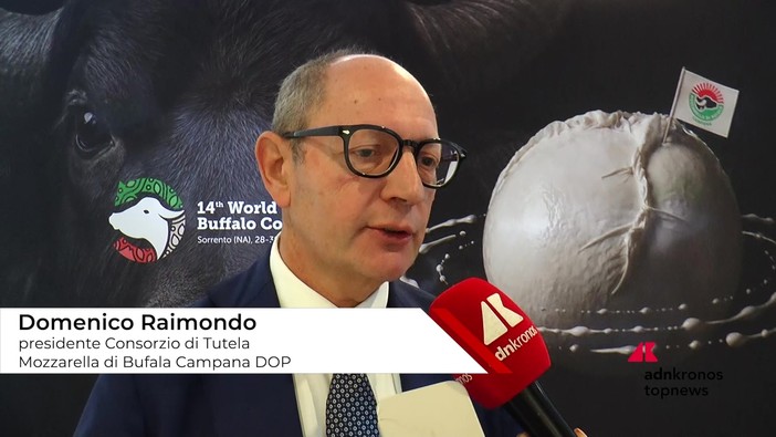 Raimondo (Consorzio Tutela Mozzarella di bufala campana Dop): "Siamo come cani da tartufo contro i falsi"