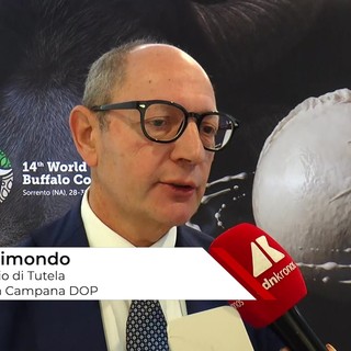 Raimondo (Consorzio Tutela Mozzarella di bufala campana Dop): "Siamo come cani da tartufo contro i falsi" Raimondo (Consorzio Tutela Mozzarella di bufala campana Dop): "Siamo come cani da tartufo contro i falsi"