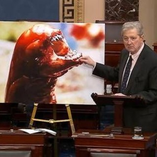 "I gamberi ti fanno diventare Alien", l'allarme del senatore Kennedy "I gamberi ti fanno diventare Alien", l'allarme del senatore Kennedy