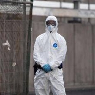 Hantavirus, l'esperta: "Non si rischia nuova pandemia, più letale ma diverso da Covid"