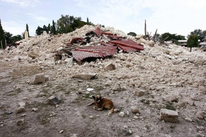Violento terremoto nelle Filippine, almeno 69 morti. Decine i feriti