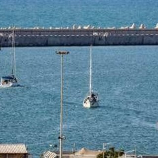 Flotilla, 46 italiani fermati da Israele. Dal carcere all'espulsione, cosa succede