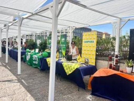 Agricoltura, Nomisma fotografa futuro Campania, tra criticità strutturali e crescita export Agricoltura, Nomisma fotografa futuro Campania, tra criticità strutturali e crescita export