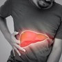 Steatosi epatica per 25% italiani, studio ‘integratore con alghe utile in 50% casi’ Steatosi epatica per 25% italiani, studio ‘integratore con alghe utile in 50% casi’
