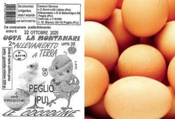 Uova ritirate dal mercato per rischio salmonella: il lotto Uova ritirate dal mercato per rischio salmonella: il lotto