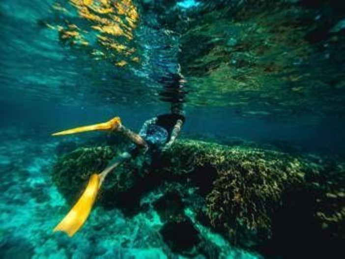Italiani morti alle Maldive, l'ipotesi: "Uno in difficoltà, gli altri in soccorso" Italiani morti alle Maldive, l'ipotesi: "Uno in difficoltà, gli altri in soccorso"