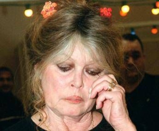 Brigitte Bardot ricoverata di nuovo, media: "In ospedale da 10 giorni" Brigitte Bardot ricoverata di nuovo, media: "In ospedale da 10 giorni"