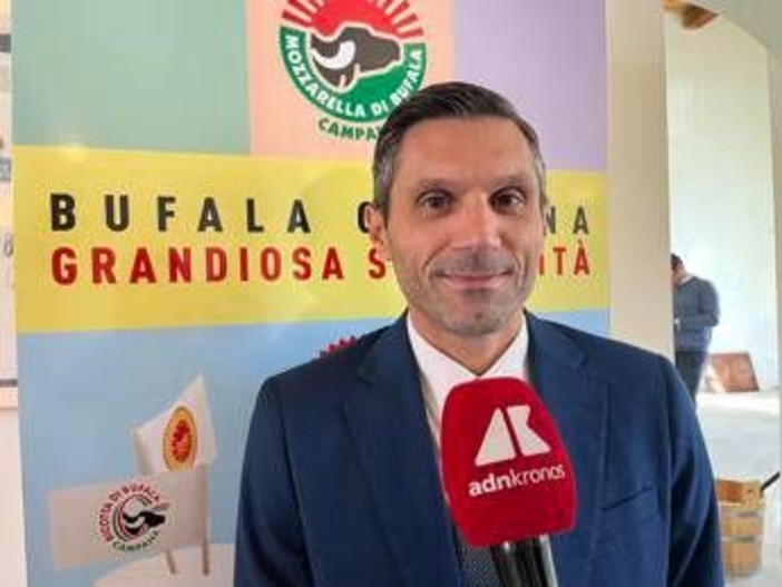 Made in Italy, Matricano (Univ. Vanvitelli): "Fare squadra tra Consorzio mozzarella campana Dop imprese e istituzioni"