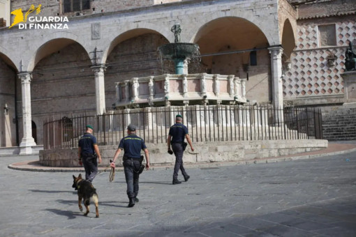 A Perugia sequestrata droga per oltre 10 mln nei primi otto mesi 2025 A Perugia sequestrata droga per oltre 10 mln nei primi otto mesi 2025