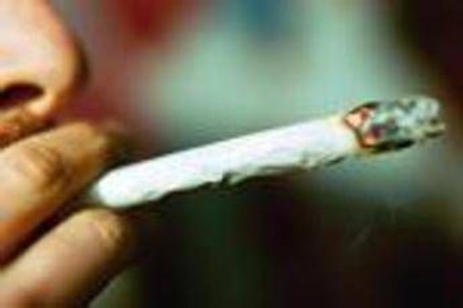 Droga, San Patrignano: "Primo step cannabis e binge drinking, poi si passa a quelle sintetiche"