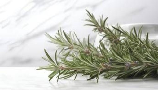 Buccia di limone, basilico e rosmarino: perché farli bollire e le proprietà 'segrete'