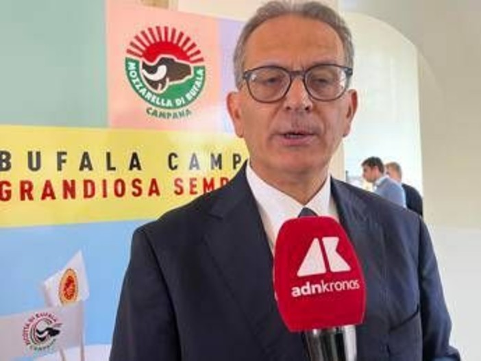 Made in Italy, Arcadia: "Il gusto della mozzarella di bufala Campana Dop conquista web, 37 milioni utenti in 2 anni"