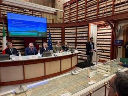 One Health, progetto innovativo per formazione sostenibile e integrata in veterinaria One Health, progetto innovativo per formazione sostenibile e integrata in veterinaria