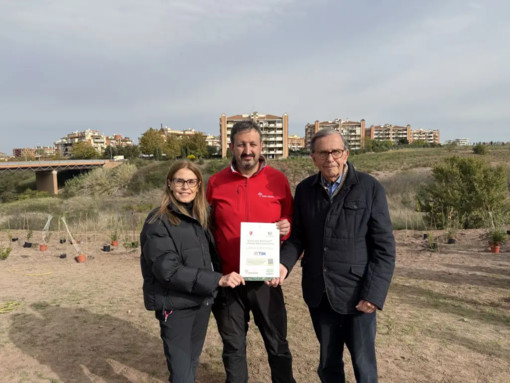 Tim pianta 400 nuovi alberi a Roma per migliorare l’ambiente urbano