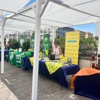 Agricoltura, Nomisma fotografa futuro Campania, tra criticità strutturali e crescita export Agricoltura, Nomisma fotografa futuro Campania, tra criticità strutturali e crescita export