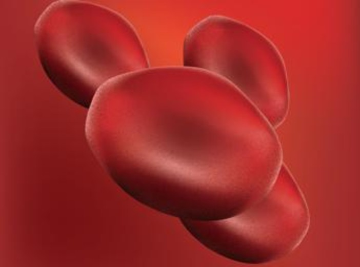 Autoemotrasfusione di ozono anti-aging, cos'è: ma fa bene davvero? Autoemotrasfusione di ozono anti-aging, cos'è: ma fa bene davvero?