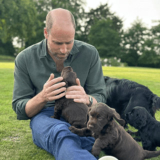 William e Kate condividono l'amore di Elisabetta II per i cani, James Middleton spiega perché