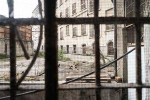 Studente accoltellato a Milano, i due aggressori maggiorenni: "Molto dispiaciuti per la vittima"