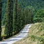 Sostenibilità, tenuta Acqua Panna habitat ideale di 121 specie di vertebrati e piante Sostenibilità, tenuta Acqua Panna habitat ideale di 121 specie di vertebrati e piante