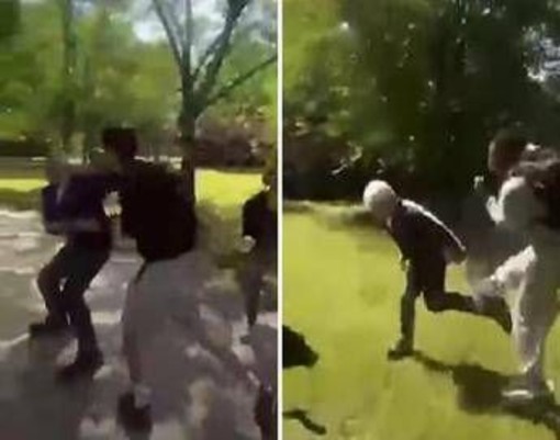 Prof aggrediti a Parma, Tg1: studenti sospesi per 30 giorni rischiano bocciatura Prof aggrediti a Parma, Tg1: studenti sospesi per 30 giorni rischiano bocciatura