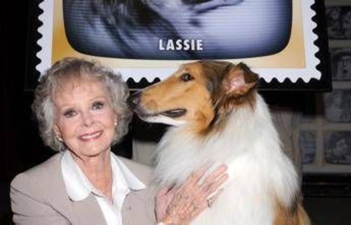 Morta June Lockhart, la mamma star di 'Lassie' aveva 100 anni Morta June Lockhart, la mamma star di 'Lassie' aveva 100 anni