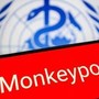 Vaiolo delle scimmie, Oms: "Mpox continua a circolare, a novembre 2.150 casi e 5 morti"