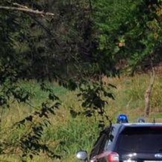 Spunta altro caso di famiglia nel bosco, bimbi allontanati dai genitori da un mese e mezzo