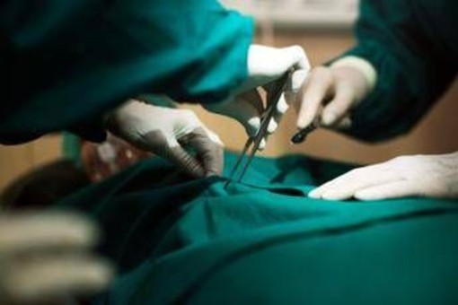 Trapianti, in Italia numeri in crescita: "2025 anno migliore di sempre"