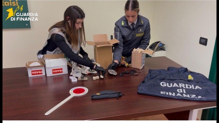 Palermo, sequestrati 17 reperti fossili risalenti a 50 milioni di anni fa