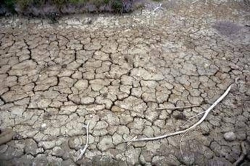 Clima, allarme Onu: "Terra in zona pericolo. El Niño sta assumendo proporzioni enormi" Clima, allarme Onu: "Terra in zona pericolo. El Niño sta assumendo proporzioni enormi"