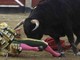 Il toro incorna e uccide il torero, lo choc in Spagna Il toro incorna e uccide il torero, lo choc in Spagna