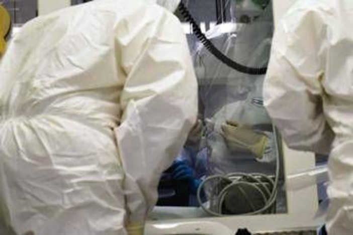 Ebola, la conferma di un focolaio in Congo: "246 casi sospetti e 65 morti" Ebola, la conferma di un focolaio in Congo: "246 casi sospetti e 65 morti"