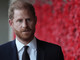 Harry torna a casa con la famiglia, incontrerà William? L'ipotesi e il desiderio Harry torna a casa con la famiglia, incontrerà William? L'ipotesi e il desiderio