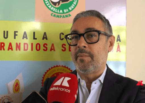 Pantini (Nomisma): "Mozzarella di bufala campana Dop conquista i consumatori Ue" Pantini (Nomisma): "Mozzarella di bufala campana Dop conquista i consumatori Ue"