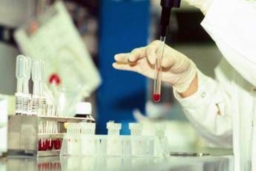 Antrace, vaiolo e virus 'zombie': l'indagine sui rischi nascosti nel ghiaccio da migliaia di anni Antrace, vaiolo e virus 'zombie': l'indagine sui rischi nascosti nel ghiaccio da migliaia di anni