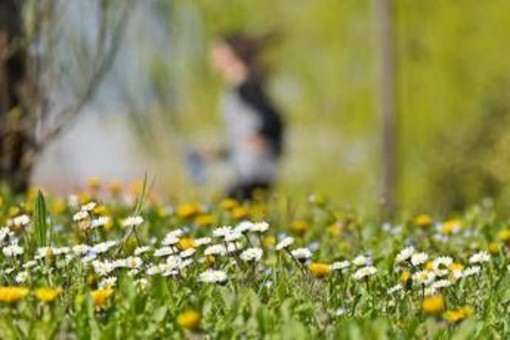 Stop alle piogge, arriva la primavera: sole e temperature in salita in tutta Italia