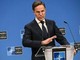Ucraina, Rutte: "Metà alleati Nato ha firmato per armi Usa"