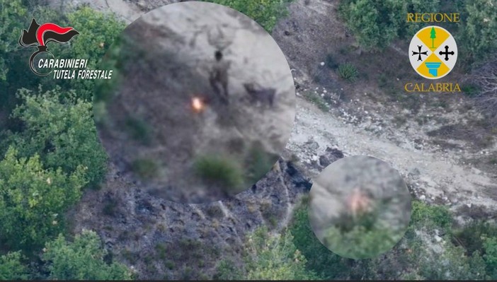 Sorpreso dal drone a incendiare bosco, arrestato allevatore nel vibonese