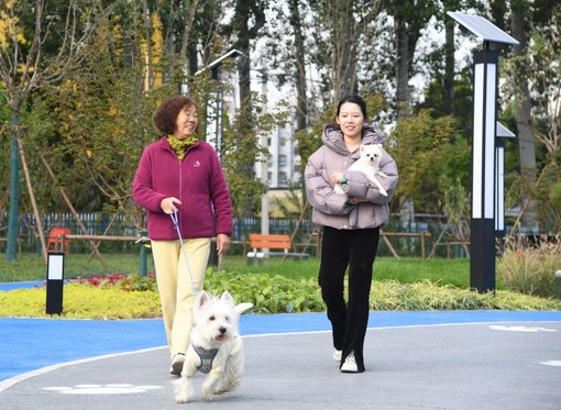 Cina, Shandong spinge sull’innovazione per far crescere l’economia pet Cina, Shandong spinge sull’innovazione per far crescere l’economia pet